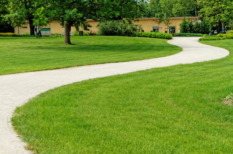 Products For Sidewalk Grinding Service in use
